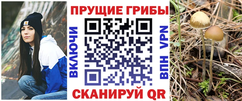 Галлюциногенные грибы мухоморы Курлово